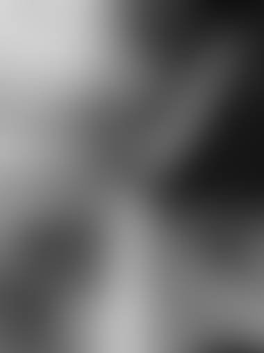 Почему Вы выбрали именно Нас